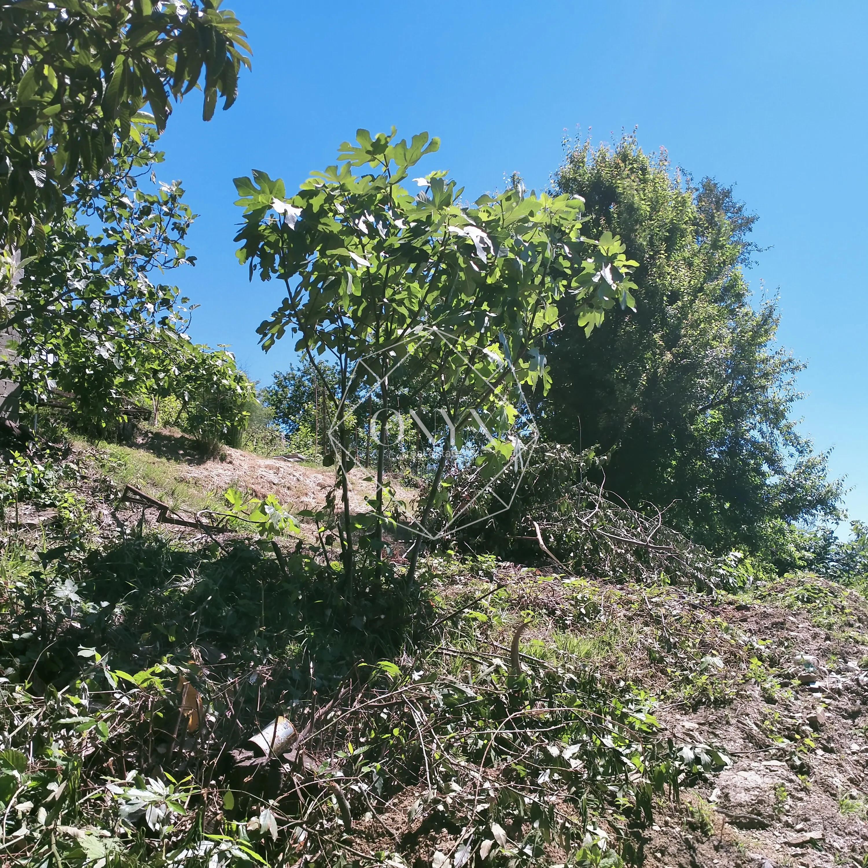 Изображение 7