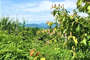 Продам земельный участок в Сергей-поле