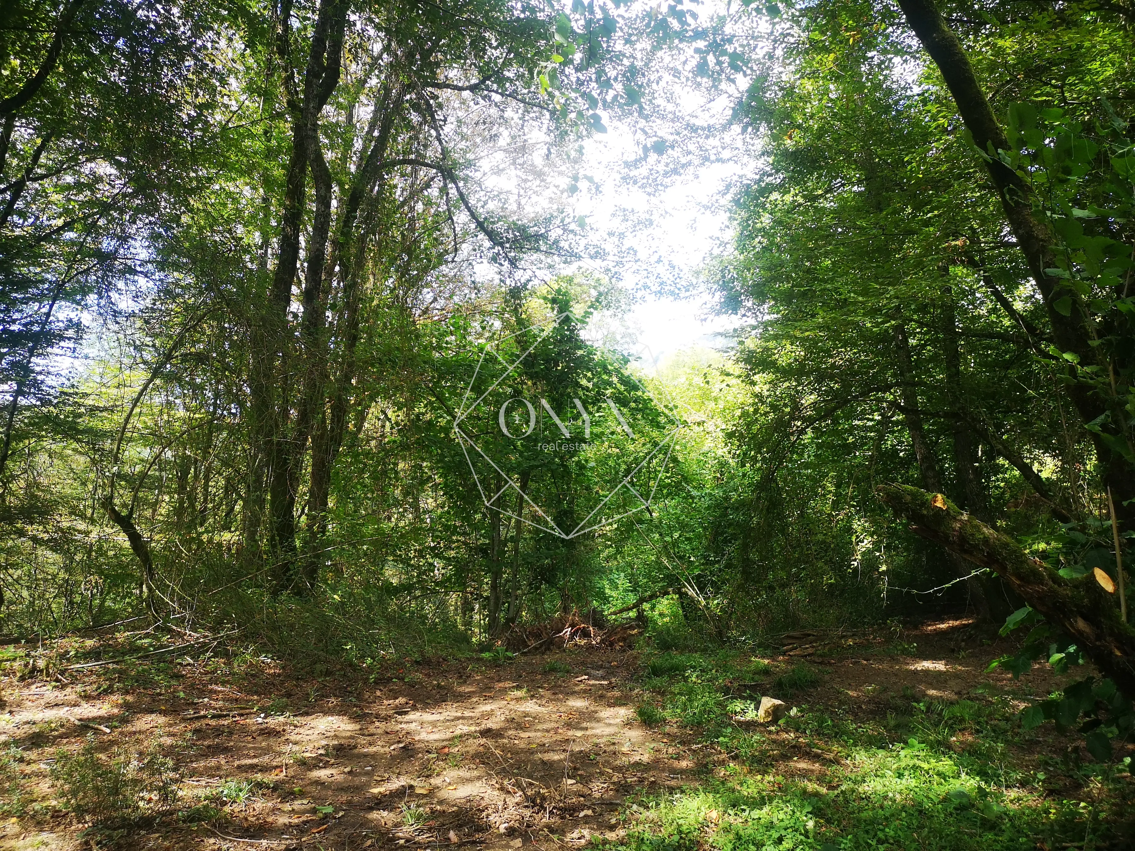 Изображение 17