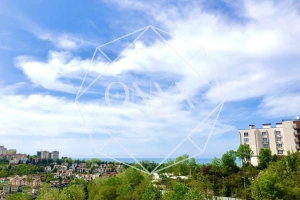 Изображение 10