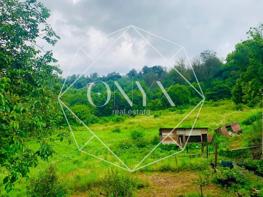 Изображение 10