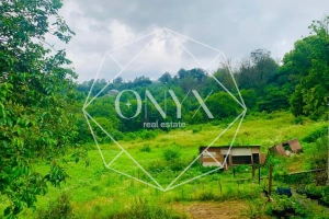 Изображение 10