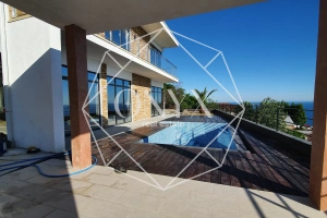 Изображение 11