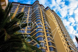 Изображение 9