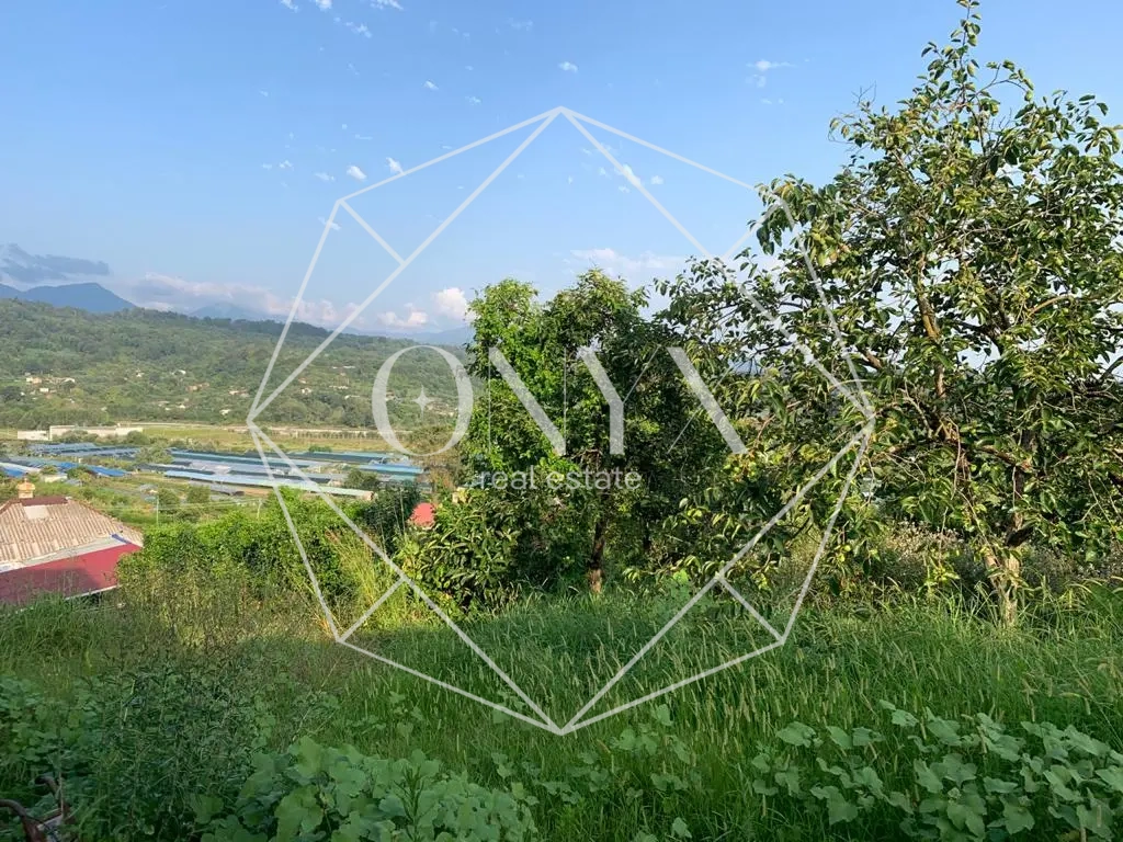 Изображение 8