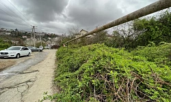 Прекрасный участок в 1 км от центра Сочи