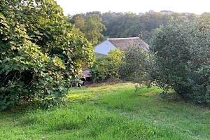 участок на улице Абовяна 