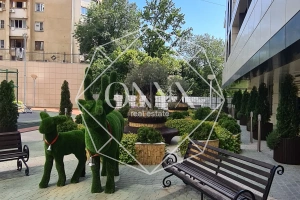 Изображение 13