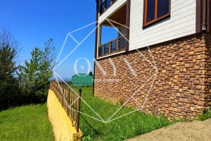 Изображение 12