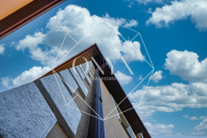 Изображение 24