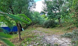 Большой и ровный земельный участок