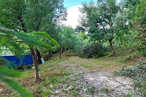 Большой и ровный земельный участок