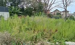 Прекрасный дом в Адлере!