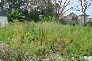 Прекрасный дом в Адлере!