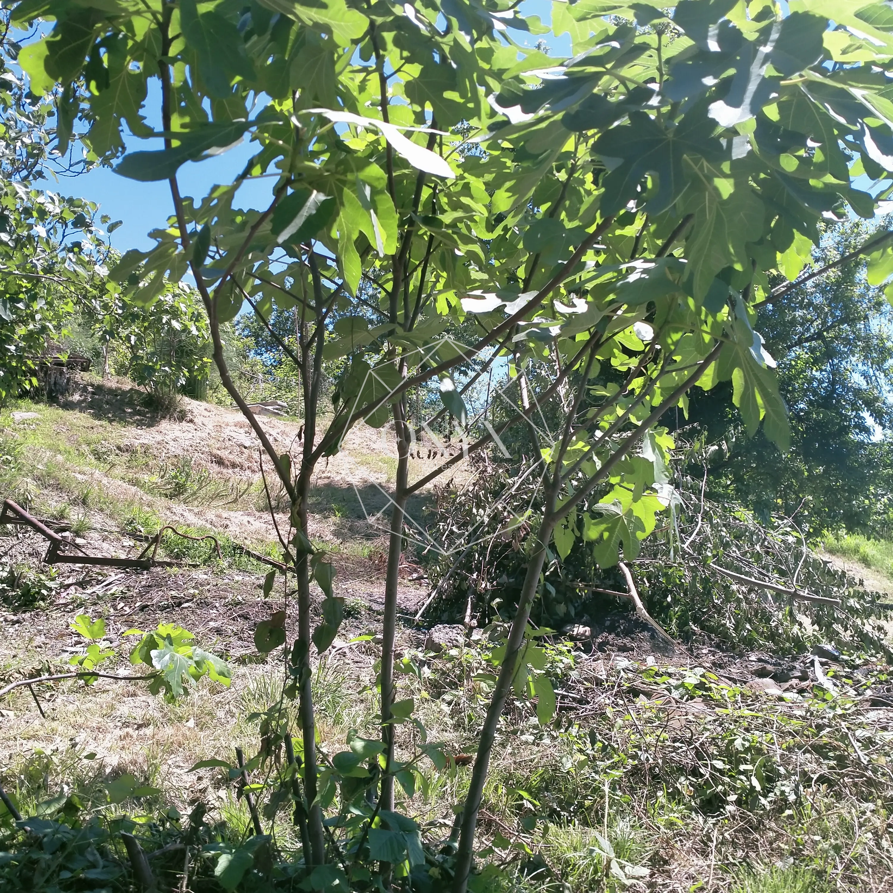 Изображение 8