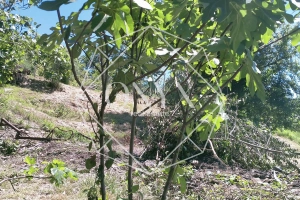 Изображение 8