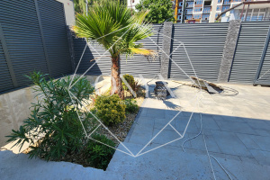 Изображение 8