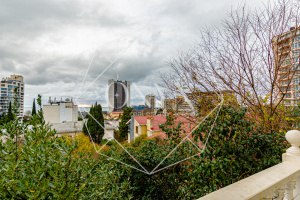 Изображение 25