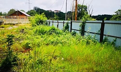 Видовой участок на Абовяна