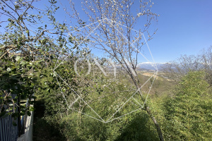 Изображение 19