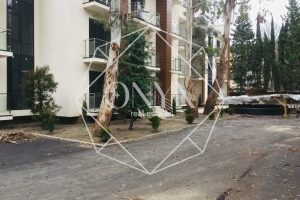 Изображение 10