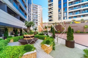 Изображение 12