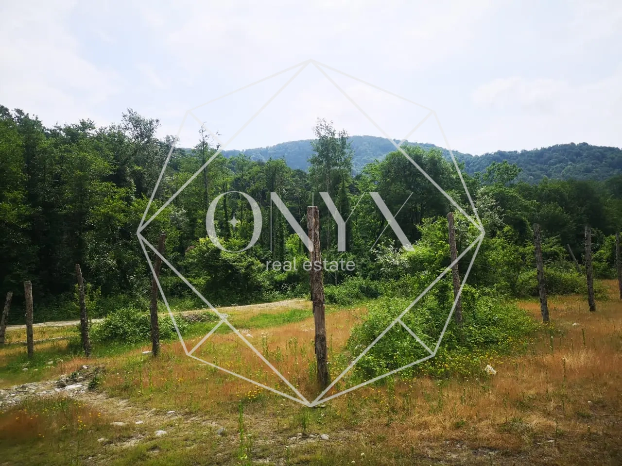 Изображение 19