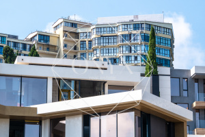 Изображение 11