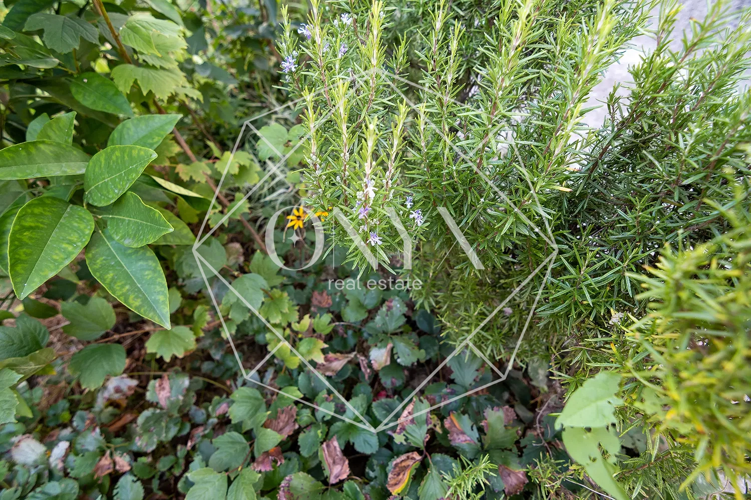 Изображение 17