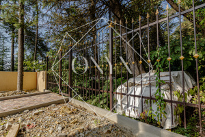 Изображение 10