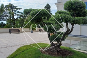 Изображение 12