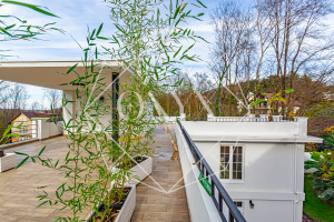 Изображение 27