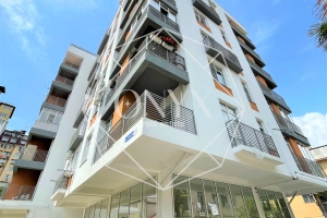 Изображение 14