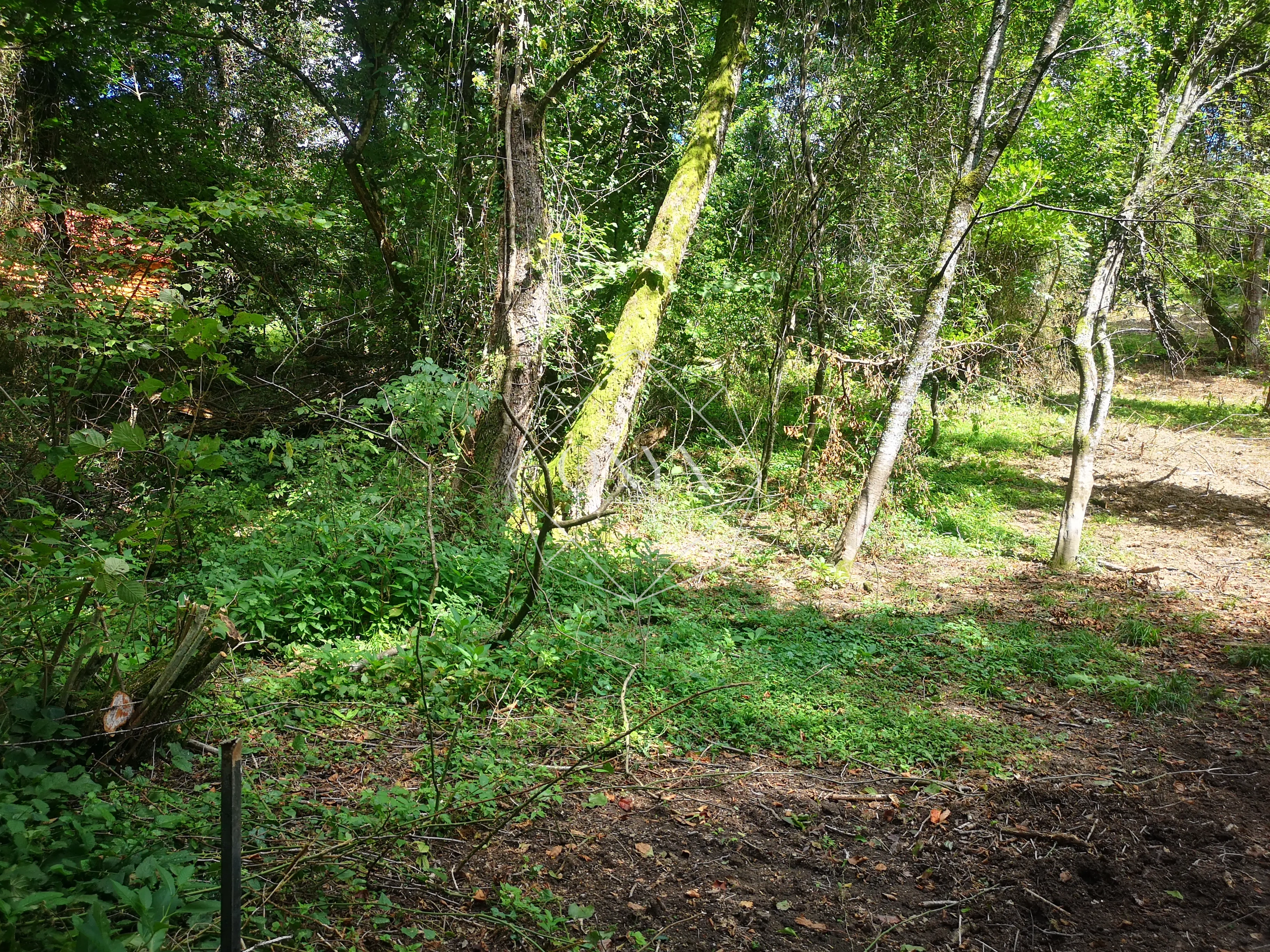 Изображение 18