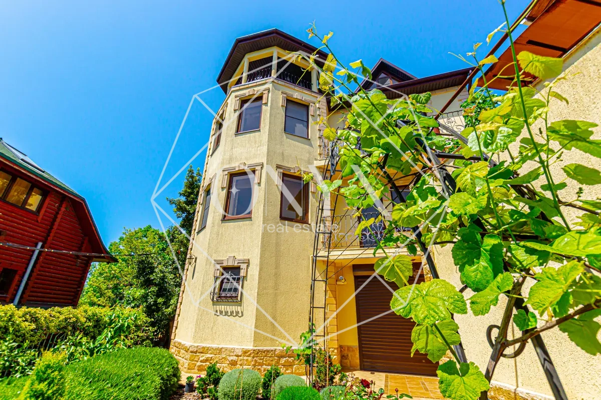 Изображение 12