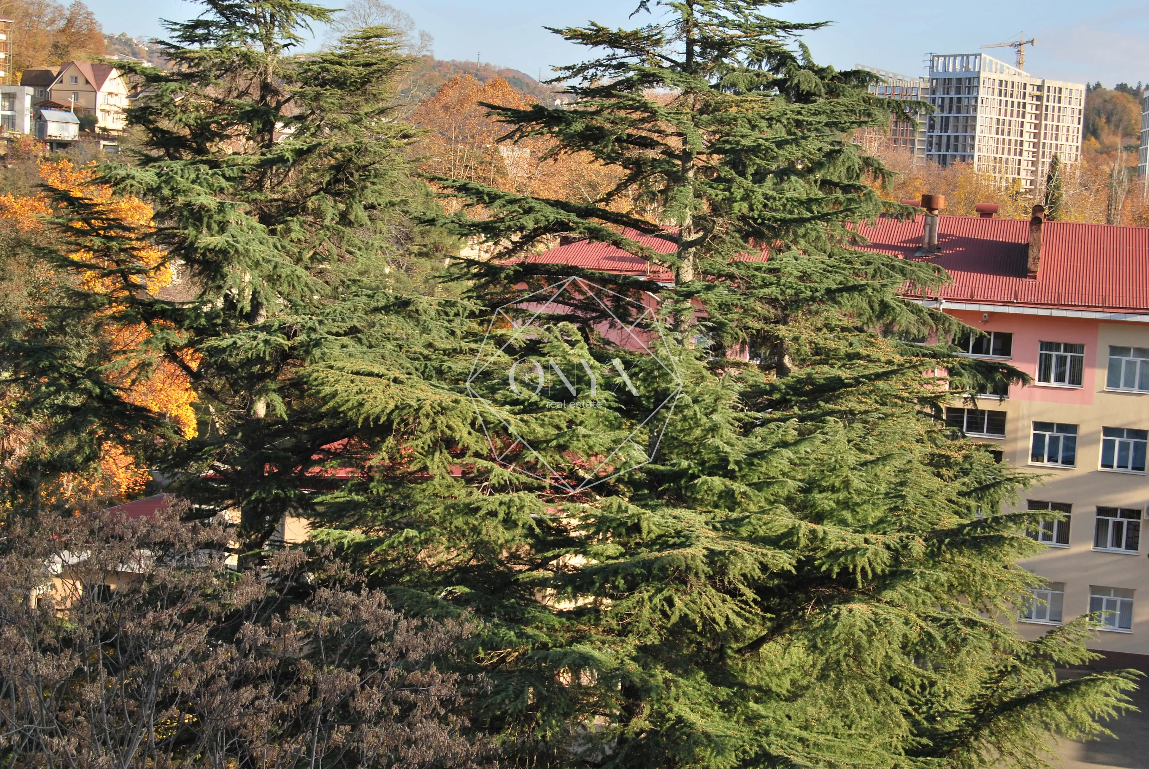 Изображение 8