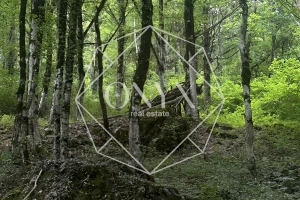 Изображение 13