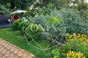 Изображение 11