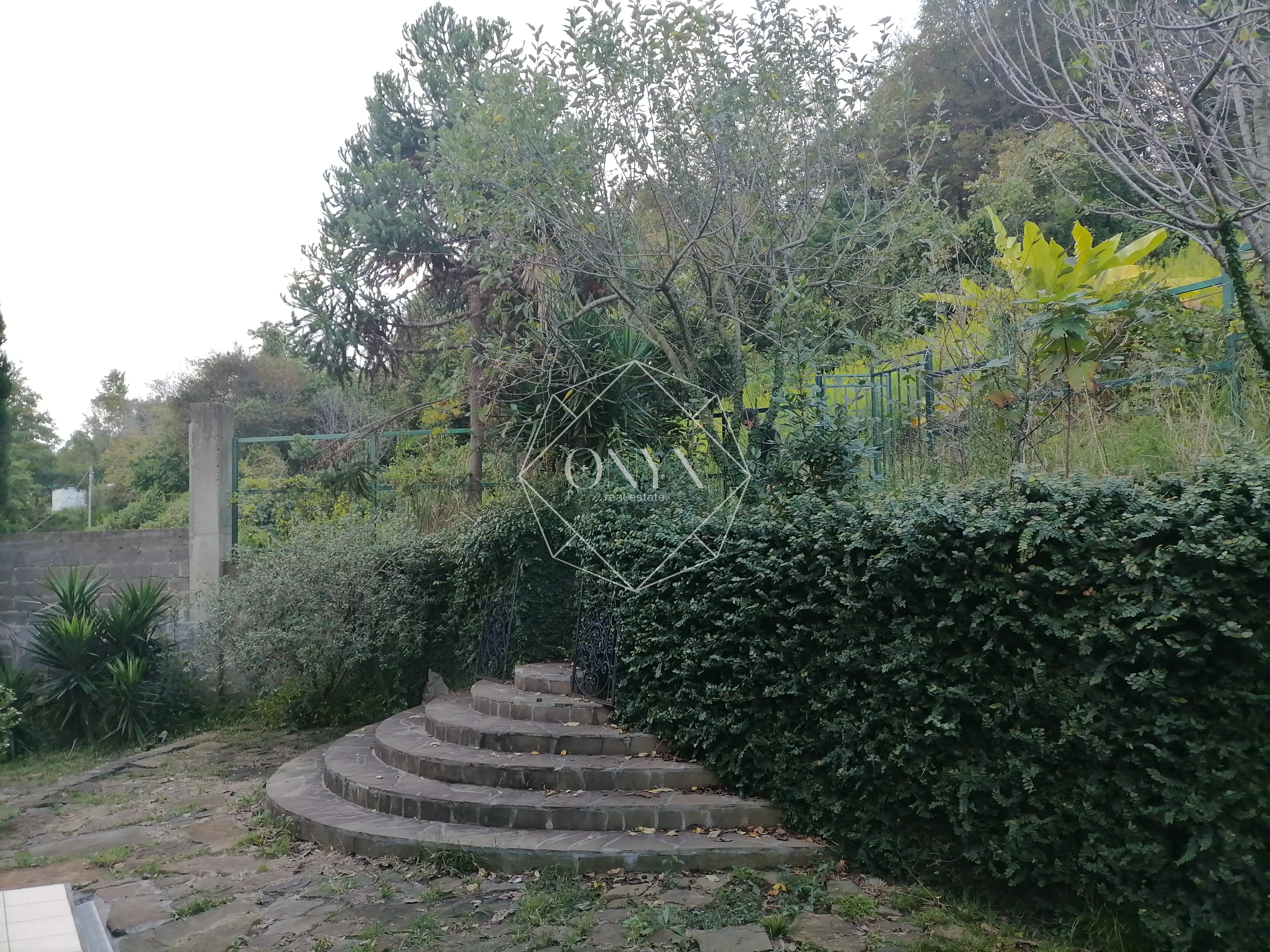 Изображение 9