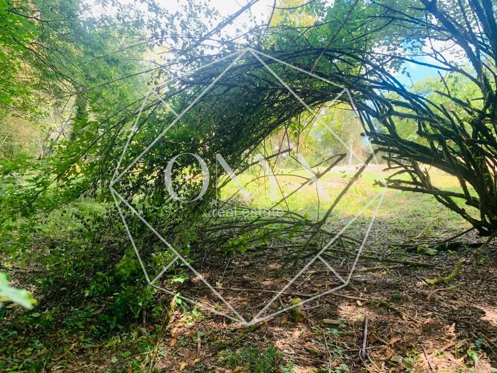 Изображение 24