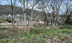 Можно приобрести как два участка так и один