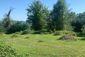 Продам участок