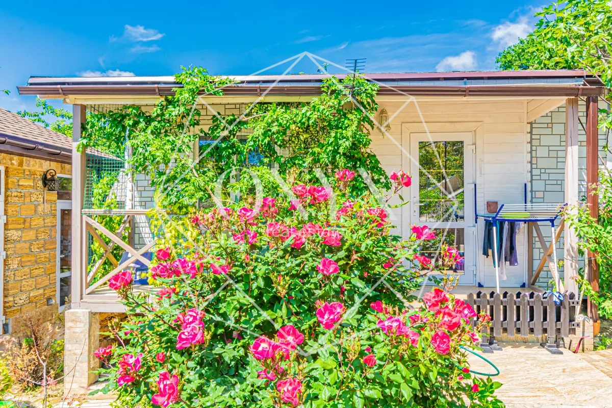 Изображение 14