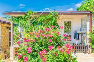 Изображение 14