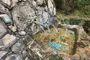 Изображение 11