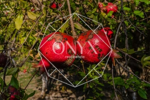 Изображение 9