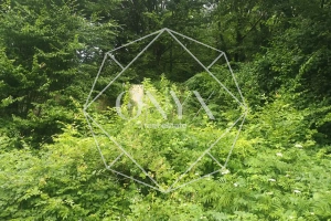 Изображение 8