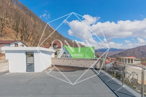 Изображение 27