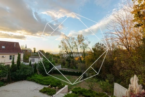 Изображение 45