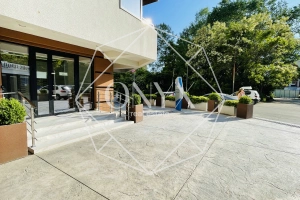 Изображение 7